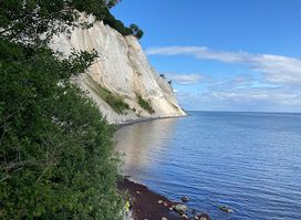 Attraction