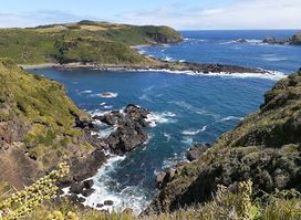 Natural Heritage Site Islotes de Puñihuil