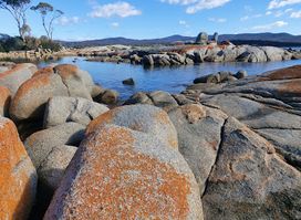 Travelie Group trading as Tasmania.com