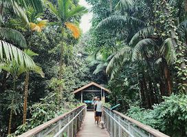 Memories of the Sentosa Monorail