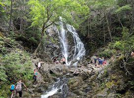 Third Vault Falls Trail