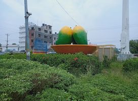 Aam Chattar