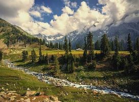 Toli Peer