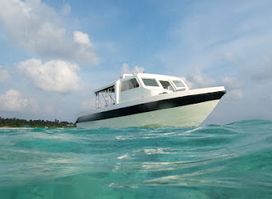Thoddoo Diving Center (PDH Maldives) / Русский дайв-центр на Тодду