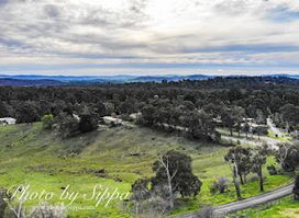 Badger Creek Blueberry Winery