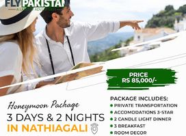 FlyPakistan