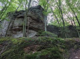 Roitzbach schluff