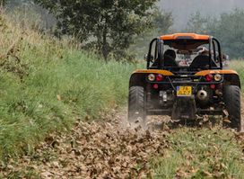 BugRacer.nl