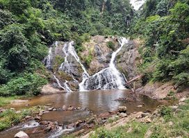 Lata Meraung