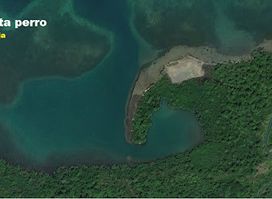Achuya punta perro