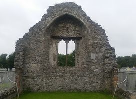 Dromiskin Monastic Site