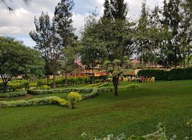 Umubyeyi w'Amahoro