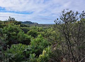Arakwal National Park