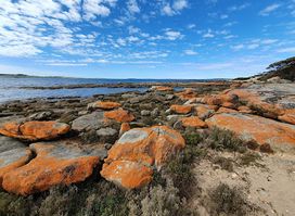 Kirton Point