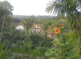 Sunday Park