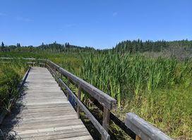 Ominnik Marsh Trail