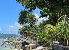 Island View Cottages Aore Island