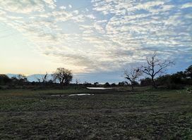Maroelani Private Nature Reserve