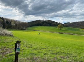 Weyrer Wald und Hahnenberg