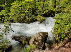 Towada-Hachimantai National Park