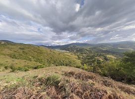 Los llanos
