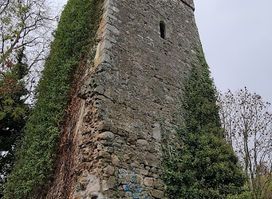 Oldcourt castle