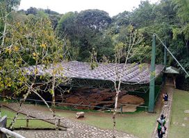 Fuente De Lavapatas