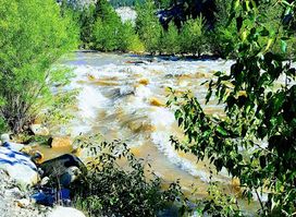 West Walker River