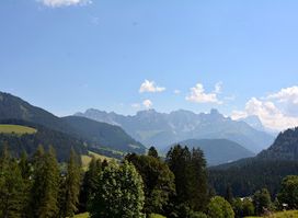 Lammertaler Urwald