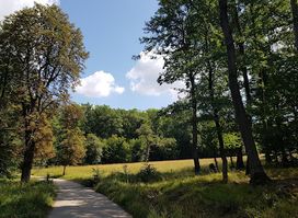Lainzer Tiergarten