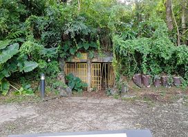Japanese Caves