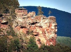 Palatinate Forest