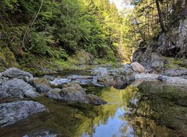 Crooked Creek Lookoff - UNESCO Fundy Biosphere Reserve Amazing Place
