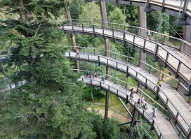 Neuschönau Bavarian Forest