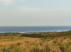 Maputo Special Reserve