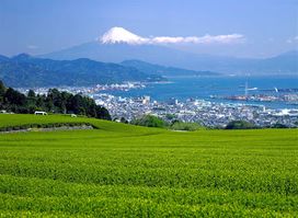 SURUGA Marketing & Tourism Bureau