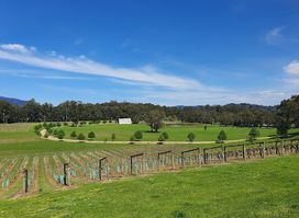 Tour The Valley
