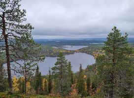 Porontimajoki Open Wilderness Hut