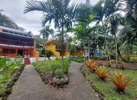 Villas Del Caribe