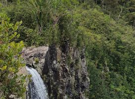 Alexandra Falls Hiking Trail