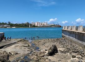 Fort Jesus Field