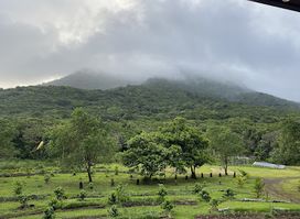 Liamuiga Natural Farm