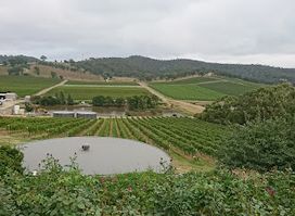 Locale Restaurant at De Bortoli Yarra Valley
