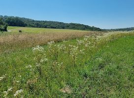 Kreisgraben Puch