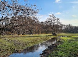 Nationaal beek- en esdorpenlandschap Drentsche Aa