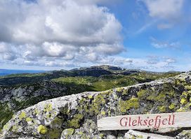 Gleksefjell