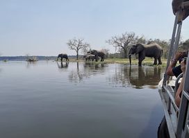 Wild Frontiers Uganda Safaris