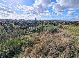 Norwich Viewing Point