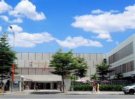 Danang Fine Arts Museum