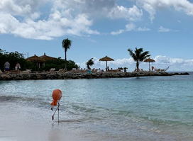 Style Aruba .com (Appt. Only! Book Online Or Call)